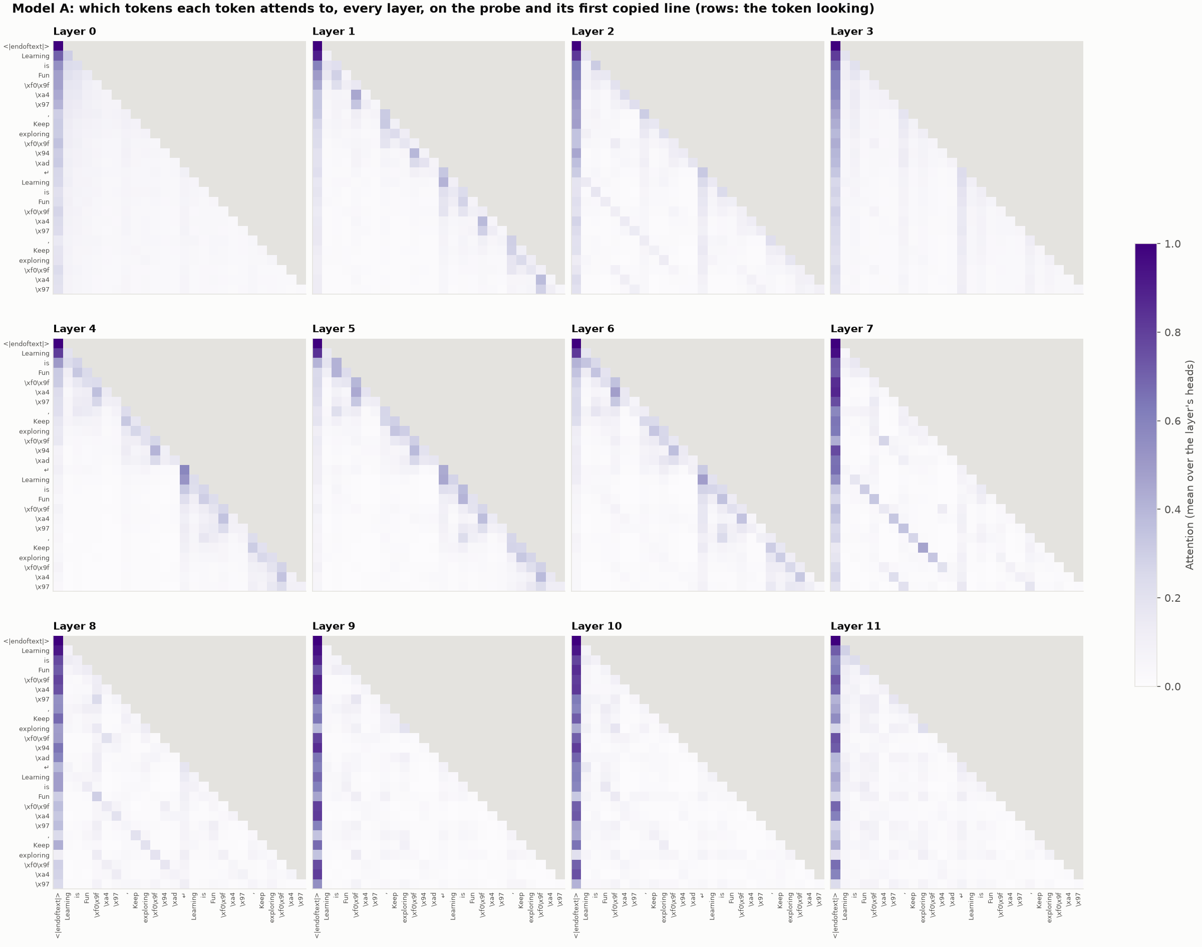 Model A: token-to-token attention in every layer, on the probe and its first copied line